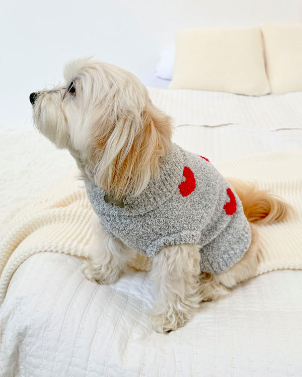 splendid Red Hearts Fuzzy Pet Sweater