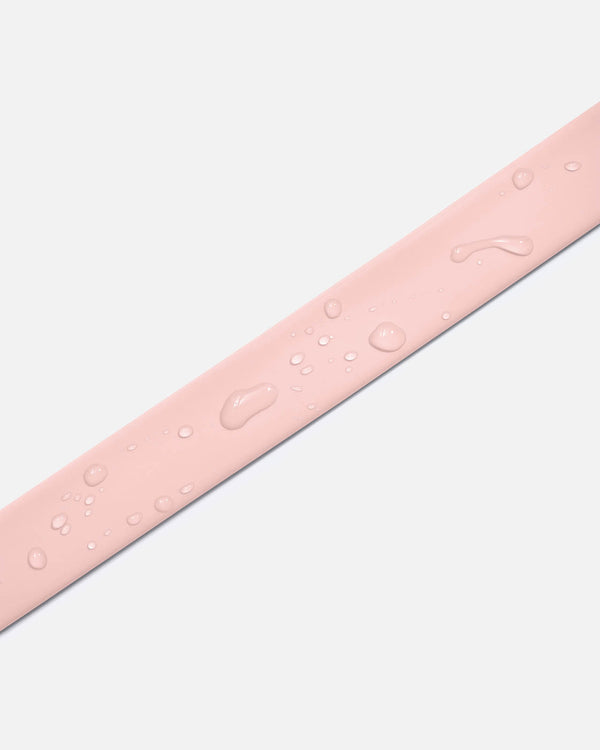 Splendid Splendid X Wild One Dog Collar