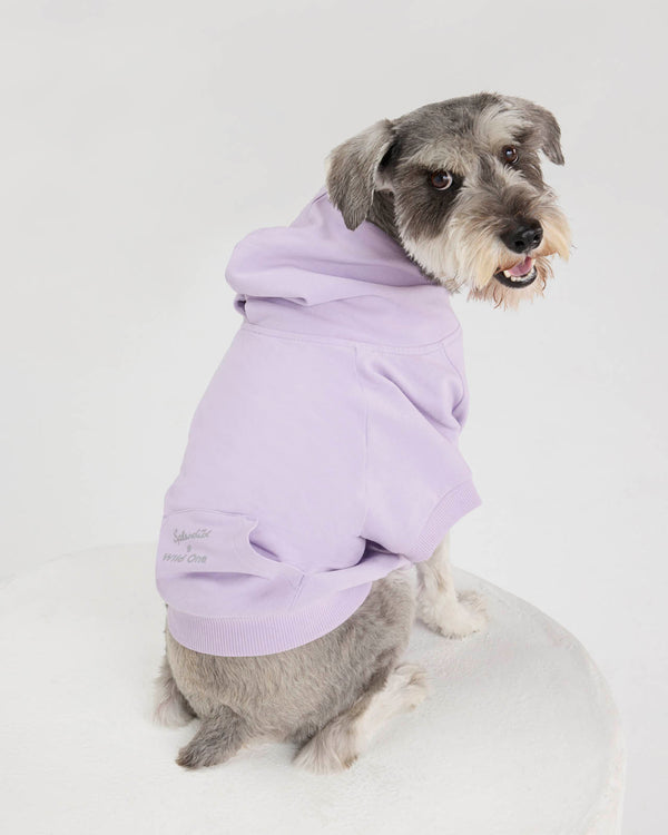 Splendid Splendid X Wild One Dog Hoodie