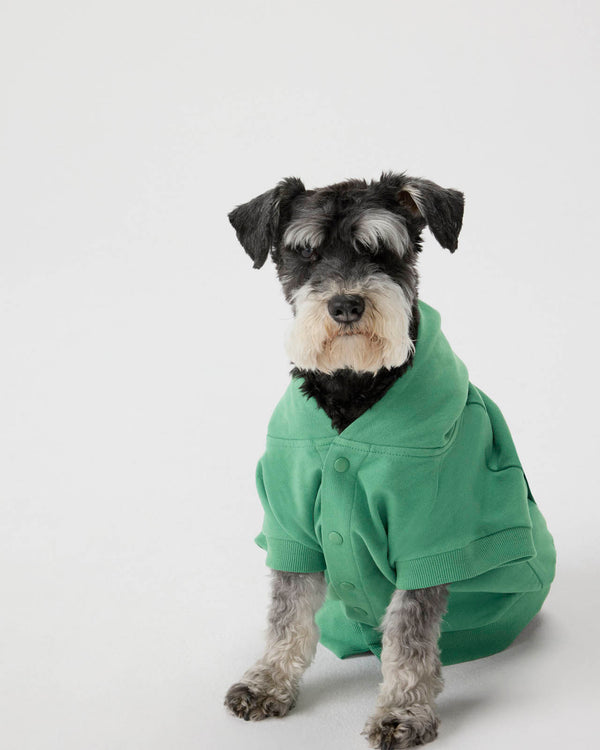 splendid Splendid x Wild One Dog Hoodie