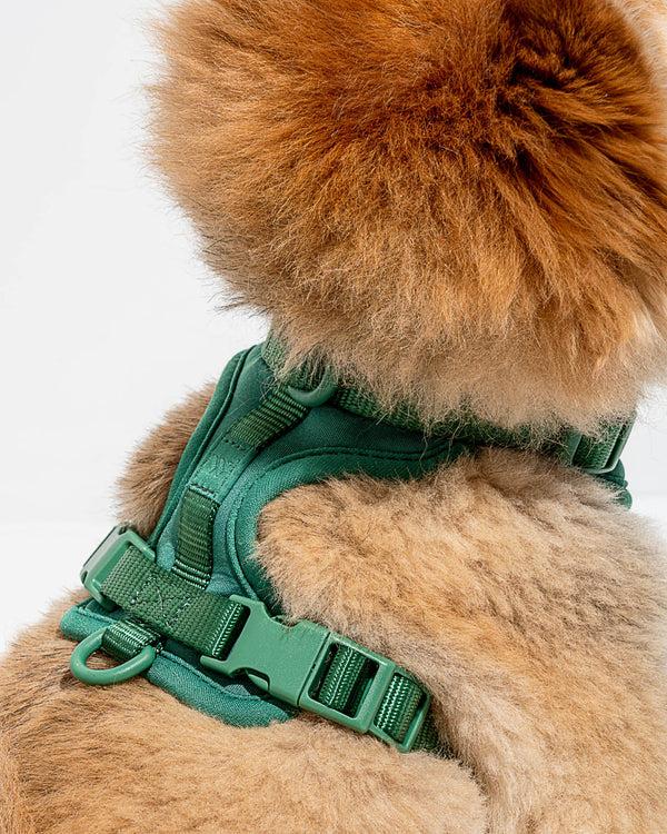 Splendid Splendid X Wild One Harness