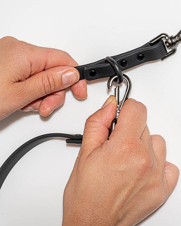 Splendid Splendid X Wild One Leash