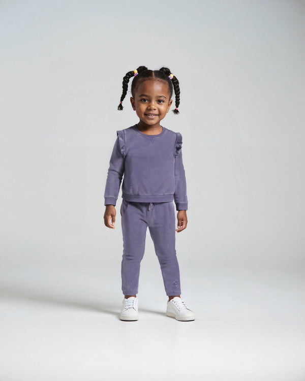 splendid Toddler Girl Floral Haze Sweatshirt Set