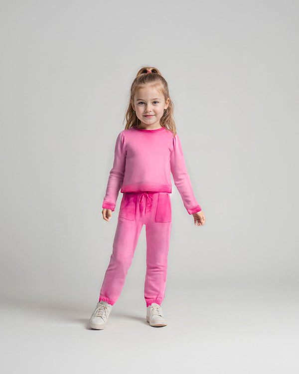 splendid Toddler Girl Pretty in Pink Jogger Set
