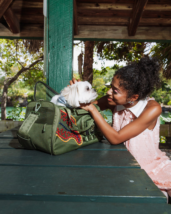 Sprayground WON'T STOP TILL THE TOP PET CARRIER
