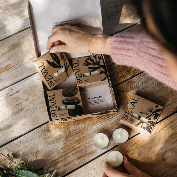 st. Eval Candle Company Signature Tealight Discovery Set