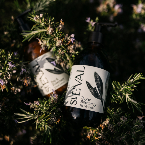 St. Eval Candle Company Bay & Rosemary