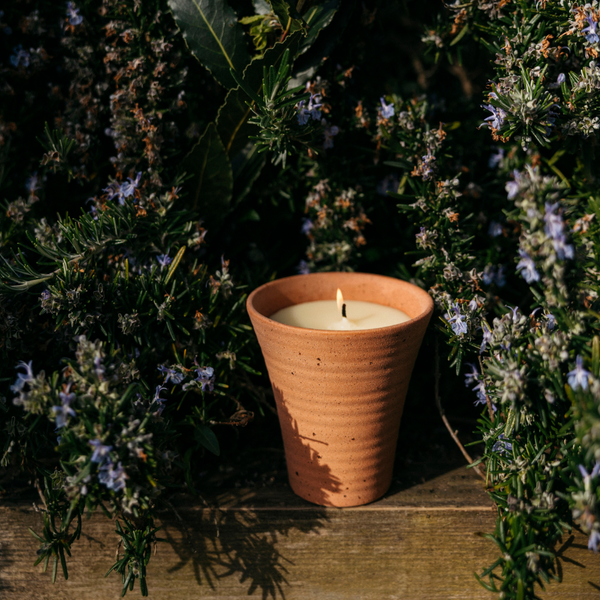 St. Eval Candle Company Bay & Rosemary