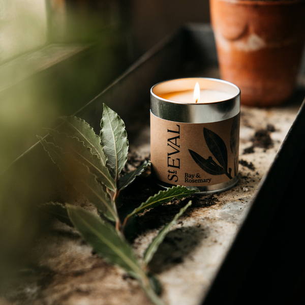 St. Eval Candle Company Bay & Rosemary