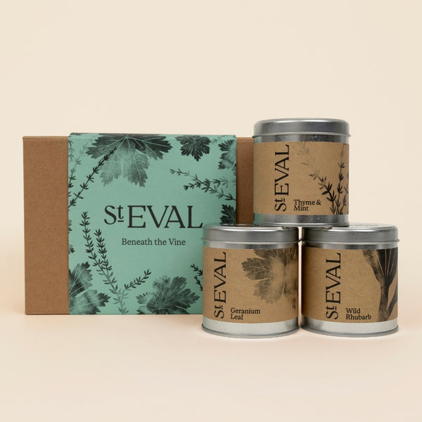 st. eval candle company Beneath The Vine