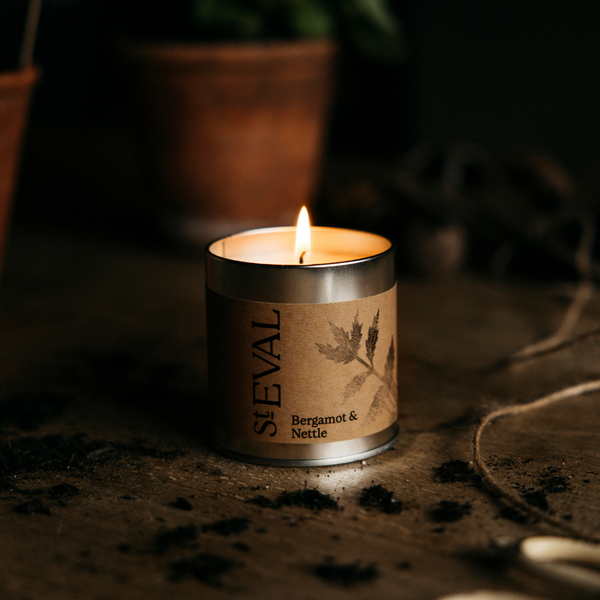 St. Eval Candle Company Bergamot & Nettle