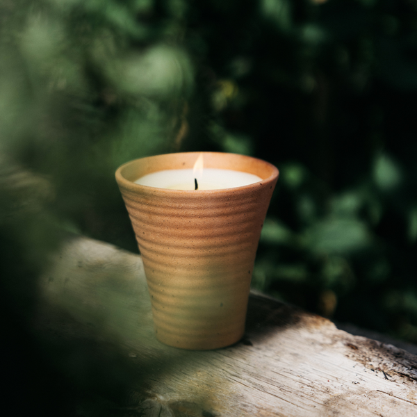 St. Eval Candle Company Bergamot & Nettle
