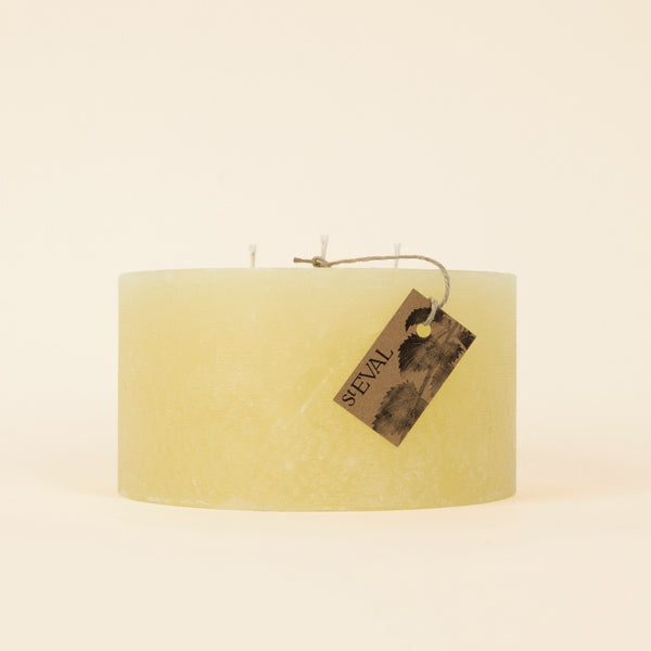 st. eval candle company Bergamot & Nettle