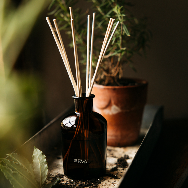 St. Eval Candle Company Bergamot & Nettle