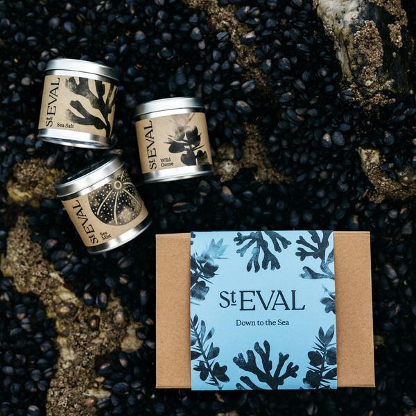 St. Eval Candle Company Down To The Sea