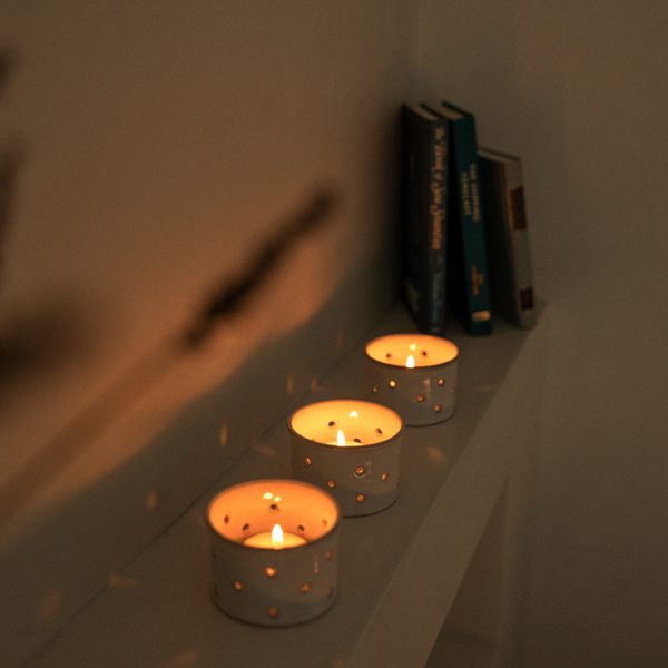 St. Eval Candle Company Fig Tree