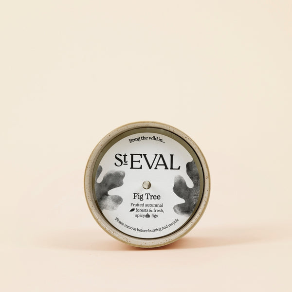 St. Eval Candle Company Fig Tree