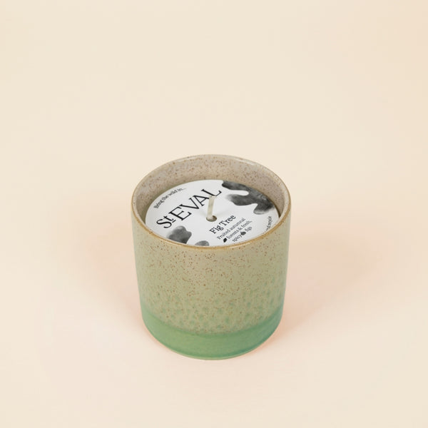 st. eval candle company Fig Tree