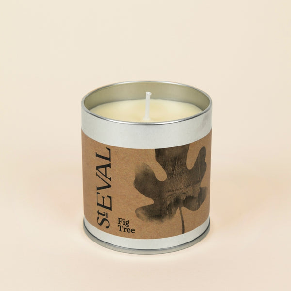 St. Eval Candle Company Fig Tree