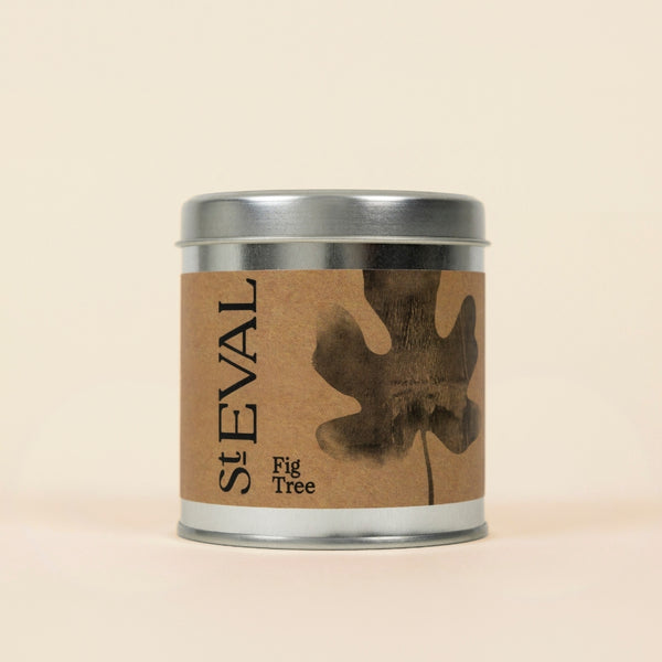 st. eval candle company Fig Tree