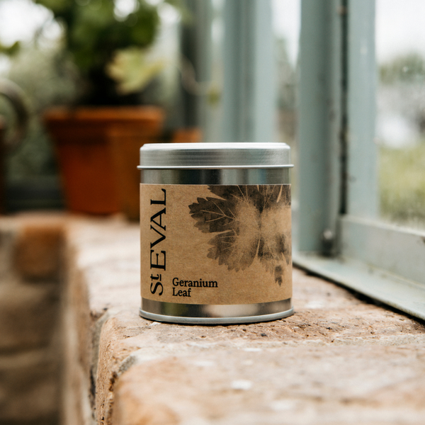St. Eval Candle Company Geranium Leaf