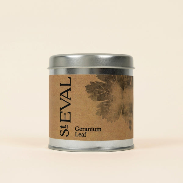 st. eval candle company Geranium Leaf