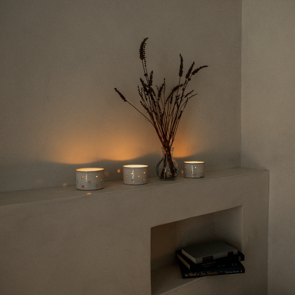 St. Eval Candle Company Ginger & Lemongrass