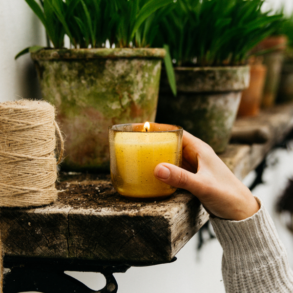 St. Eval Candle Company Ginger & Lemongrass