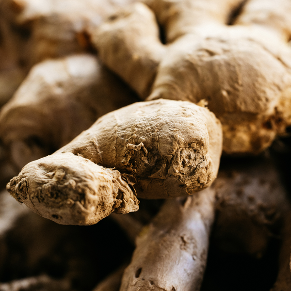 St. Eval Candle Company Ginger & Lemongrass