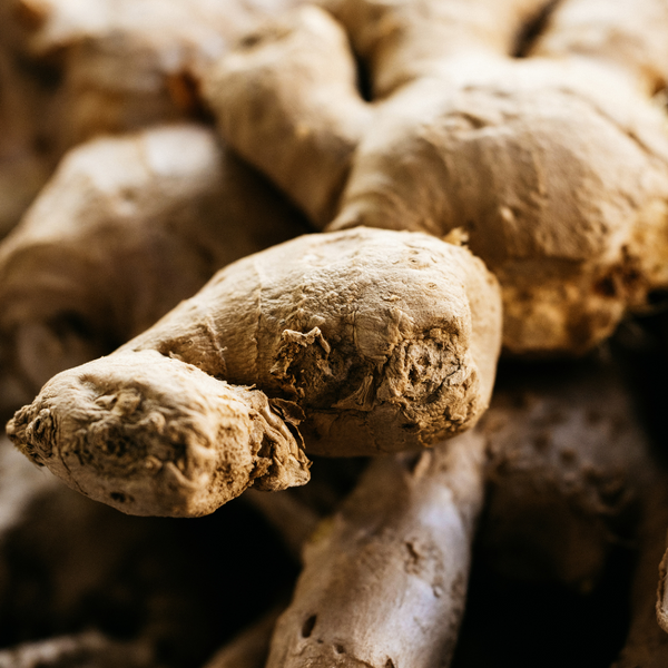 St. Eval Candle Company Ginger & Lemongrass