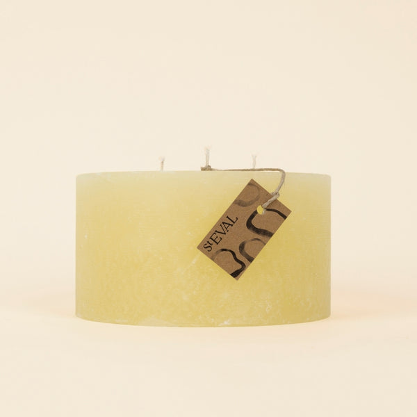 st. eval candle company Ginger & Lemongrass