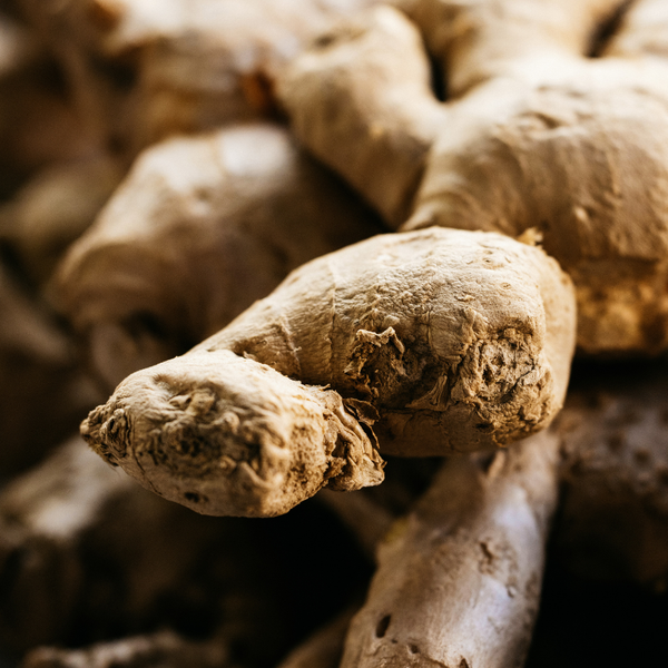 St. Eval Candle Company Ginger & Lemongrass