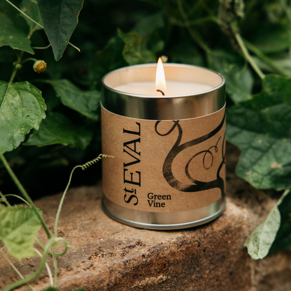 St. Eval Candle Company Green Vine