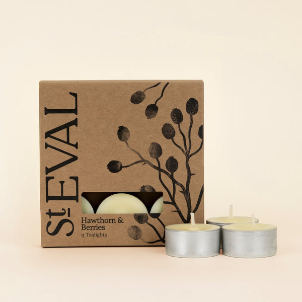 st. eval candle company Hawthorn & Berries