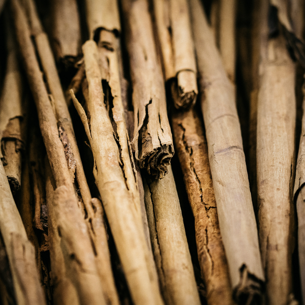 St. Eval Candle Company Inspiritus