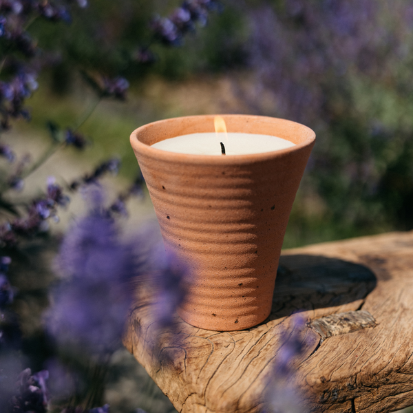 St. Eval Candle Company Lavender Fields