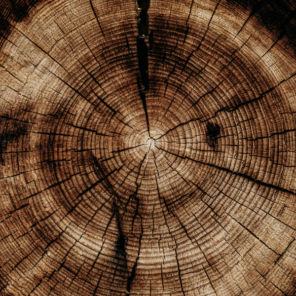 St. Eval Candle Company Sandalwood