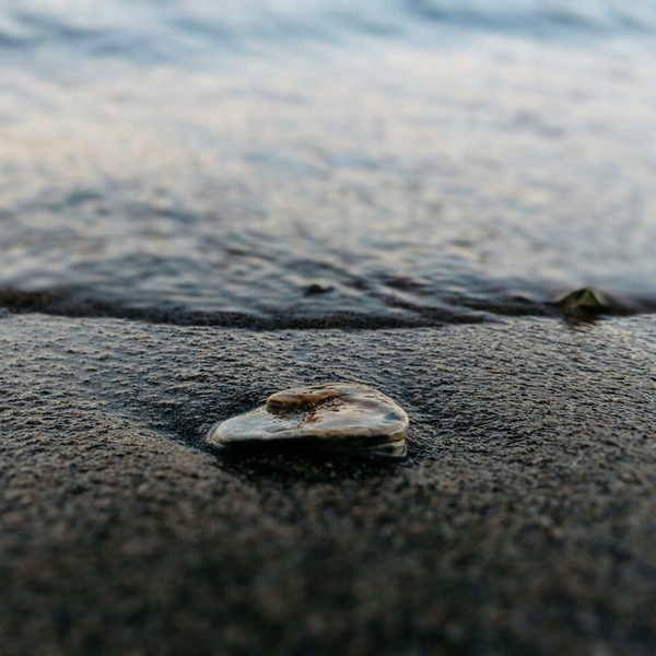 St. Eval Candle Company Sea Mist