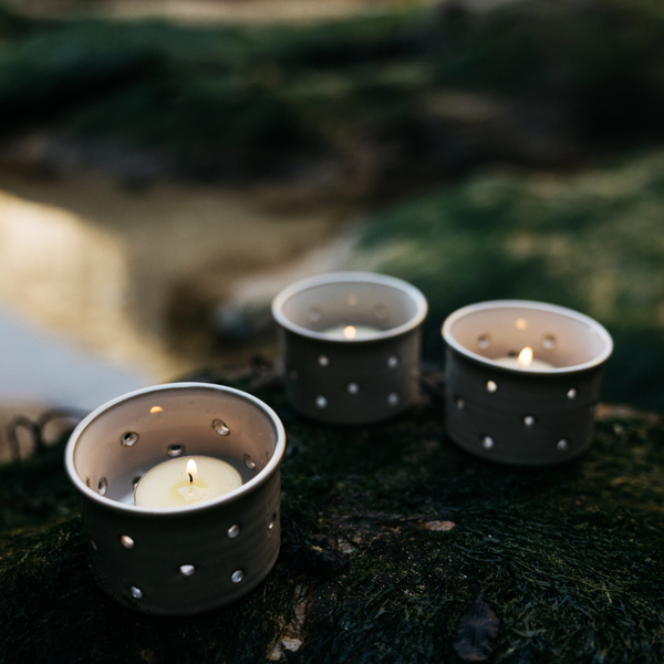 St. Eval Candle Company Sea Moss & Driftwood