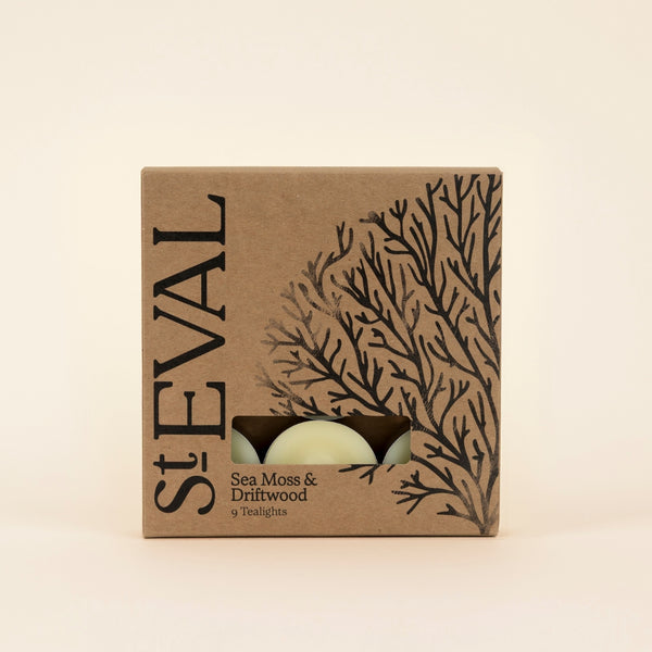 St. Eval Candle Company Sea Moss & Driftwood