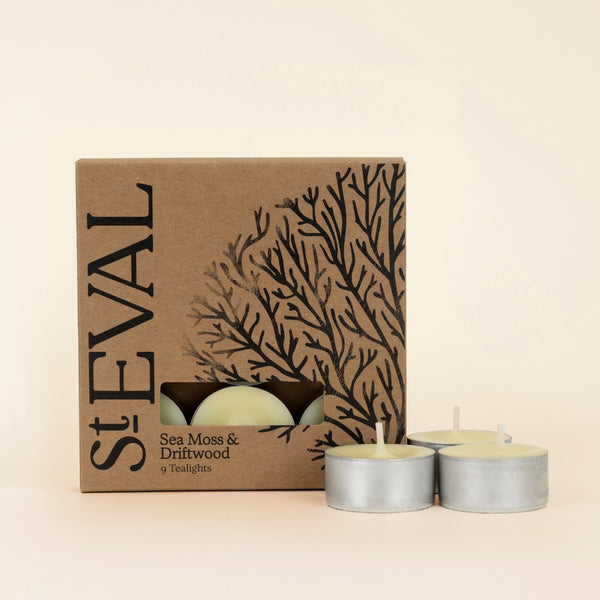 st. eval candle company Sea Moss & Driftwood