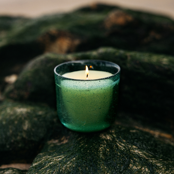 St. Eval Candle Company Sea Moss & Driftwood