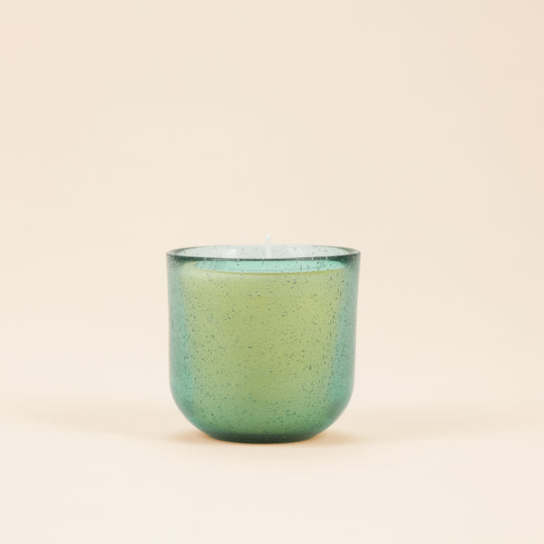 St. Eval Candle Company Sea Moss & Driftwood