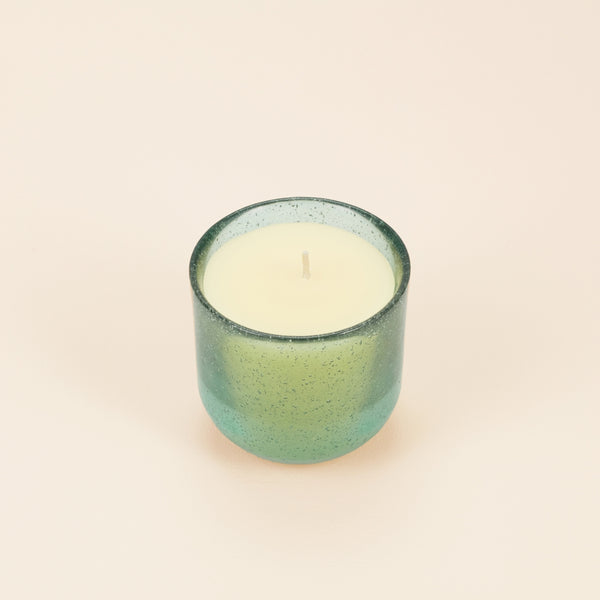 St. Eval Candle Company Sea Moss & Driftwood