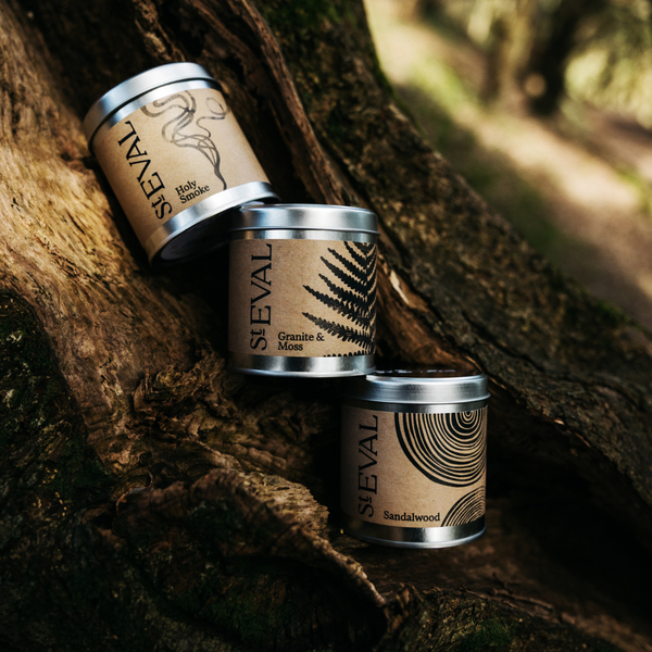 St. Eval Candle Company Through The Ancient Forest