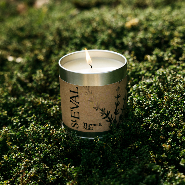St. Eval Candle Company Thyme & Mint