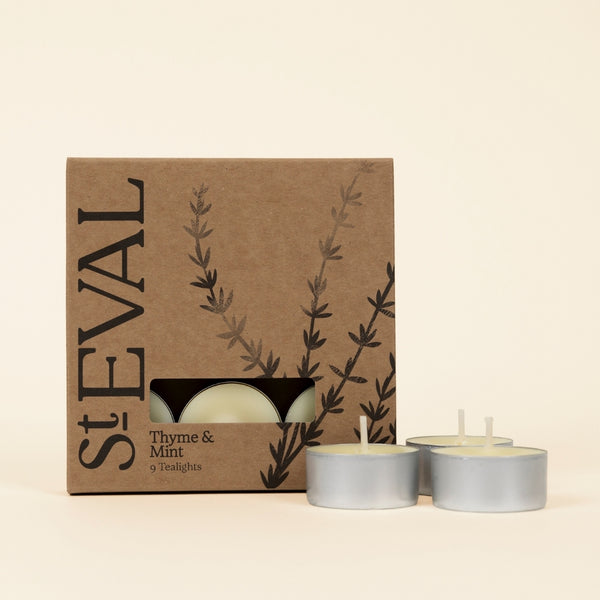 st. eval candle company Thyme & Mint