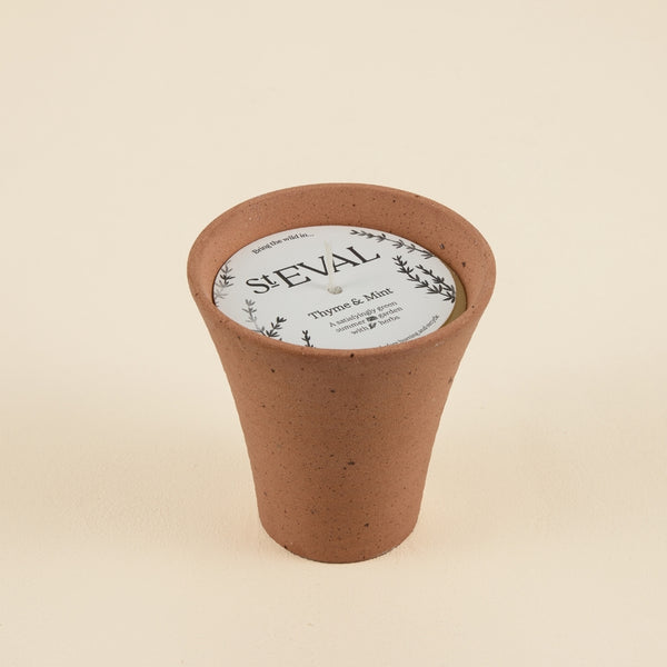 st. eval candle company Thyme & Mint
