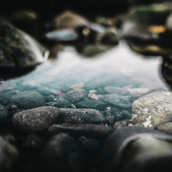 St. Eval Candle Company Tranquillity