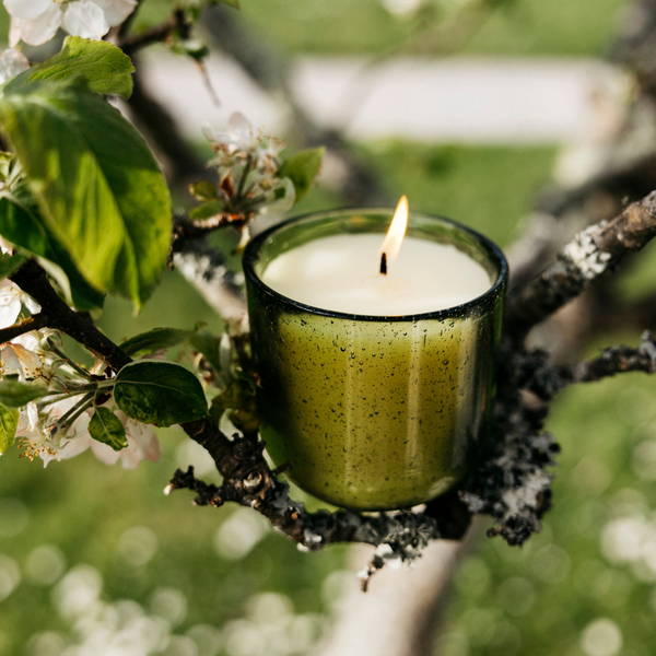 St. Eval Candle Company Walled Garden